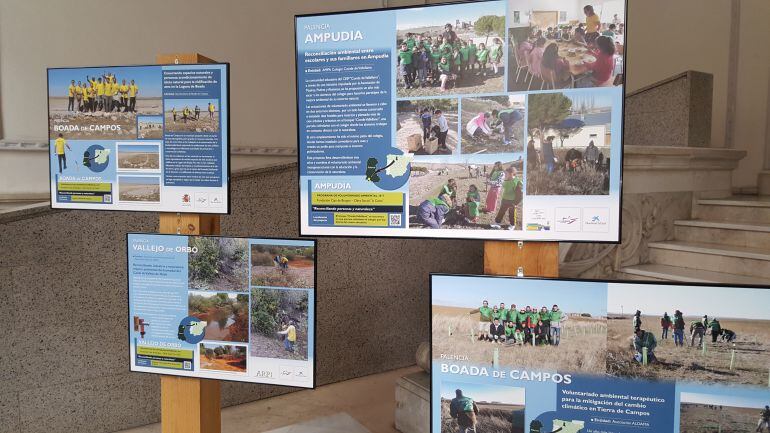 Paneles explicativos de las experiencias de voluntariado ambiental en Palencia