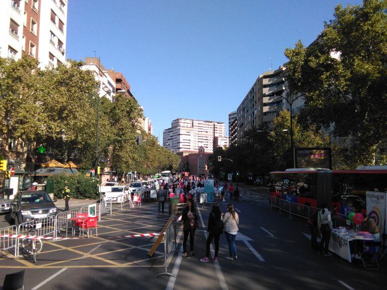 En el centro del Paseo Pamplona un total de 7 asociaciones organizan actividades lúdicas para celebrar el día sin coches. 