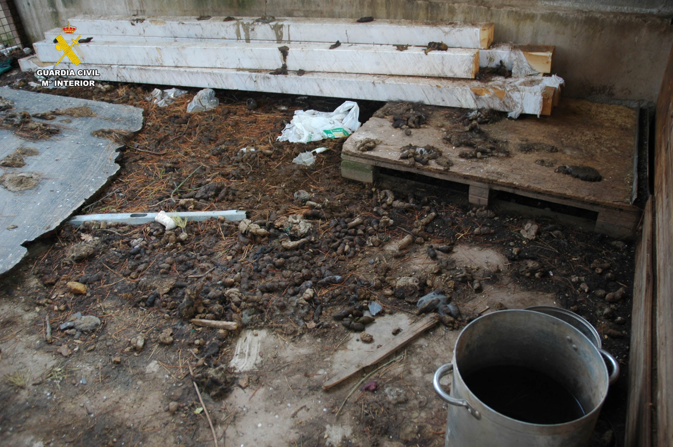 Maltrato animal en La Rioja: un perro muerto y otros seis abandonados, sin comida y rodeados de excrementos