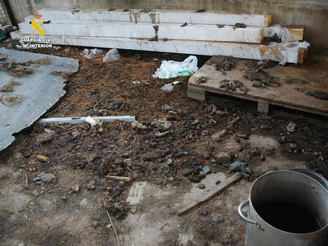 Maltrato animal en La Rioja: un perro muerto y otros seis abandonados, sin comida y rodeados de excrementos
