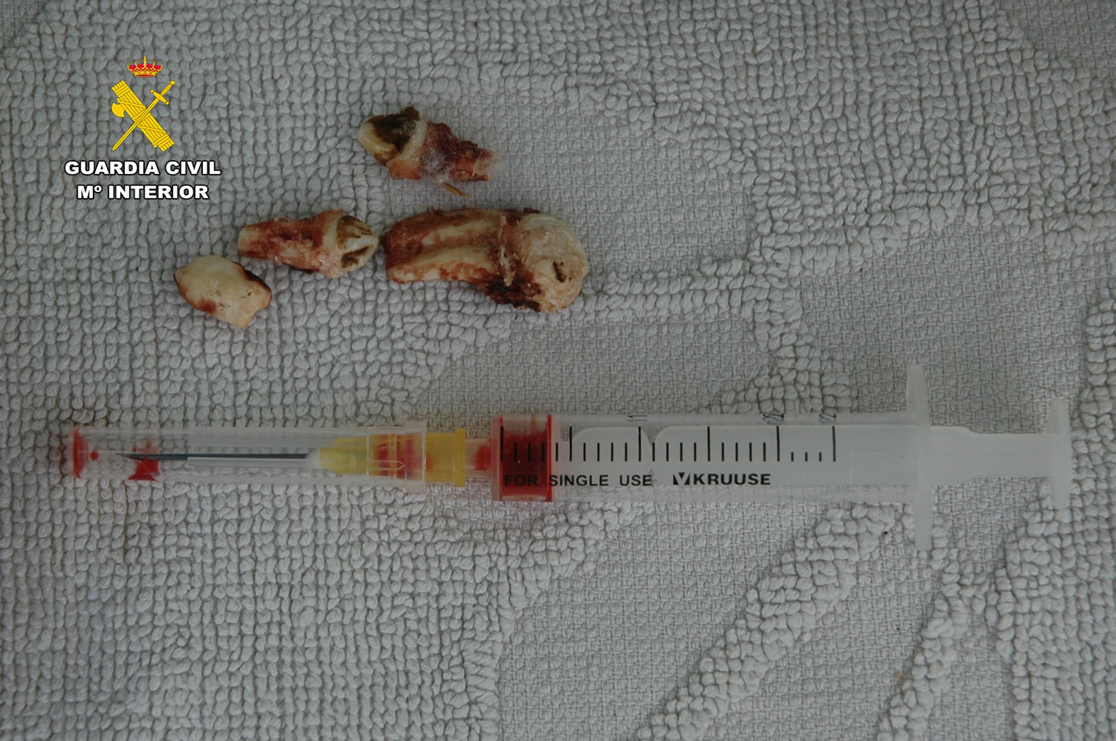 Falso veterinario: investigado un vecino de La Rioja por intrusismo profesional