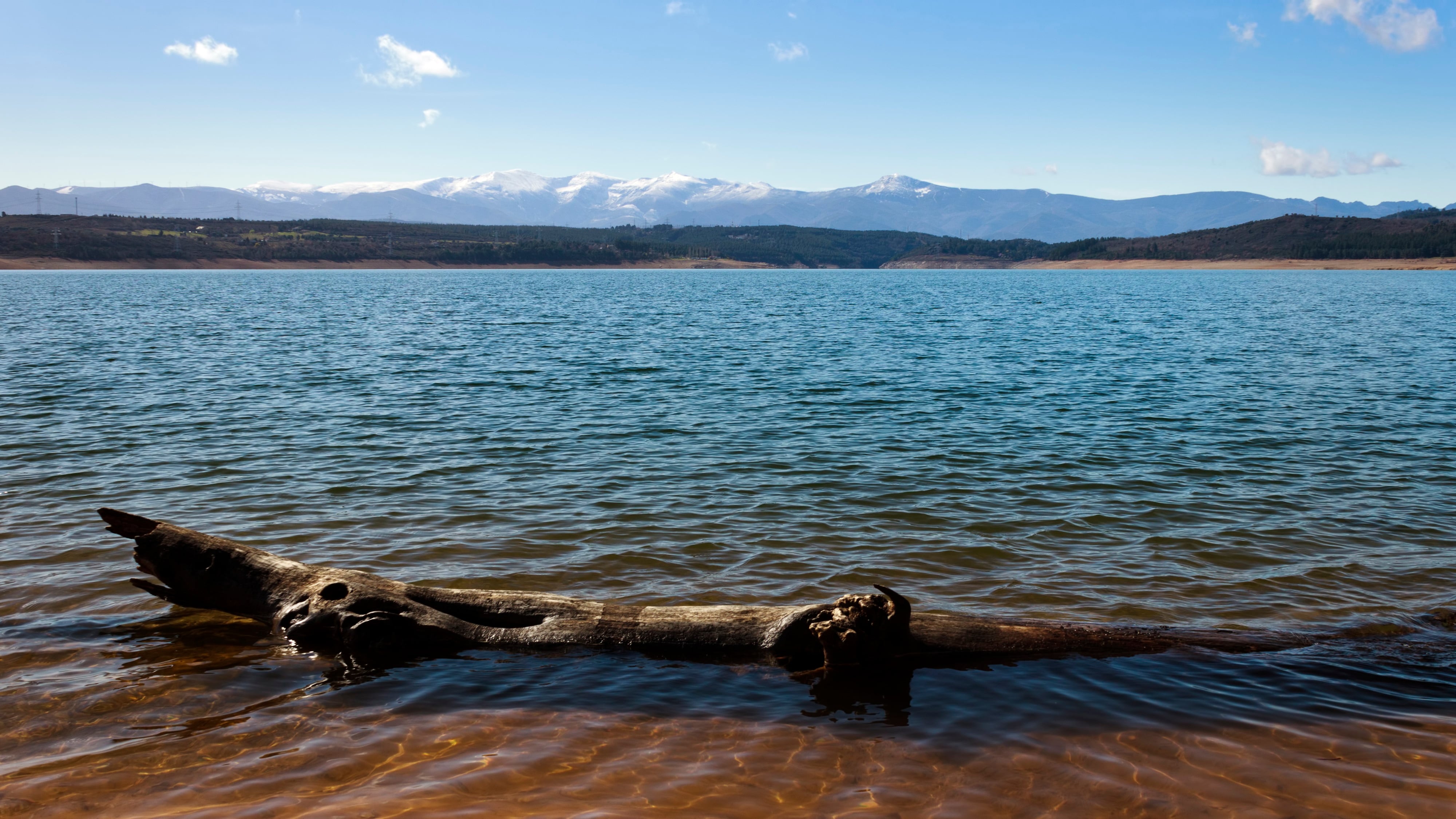 View of the Barcena reservoir with the Montes Aquilanos mountain range at background and a driftwood at foreground. El Bierzo, Castile and Leon, Spain.