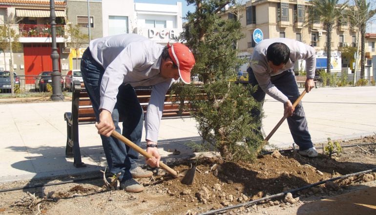 Trabajadores contratados en virtud del Programa de Ayuda a la Contratación de la Junta de Andalucía