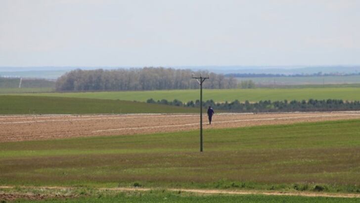 Concentración parcelaria
