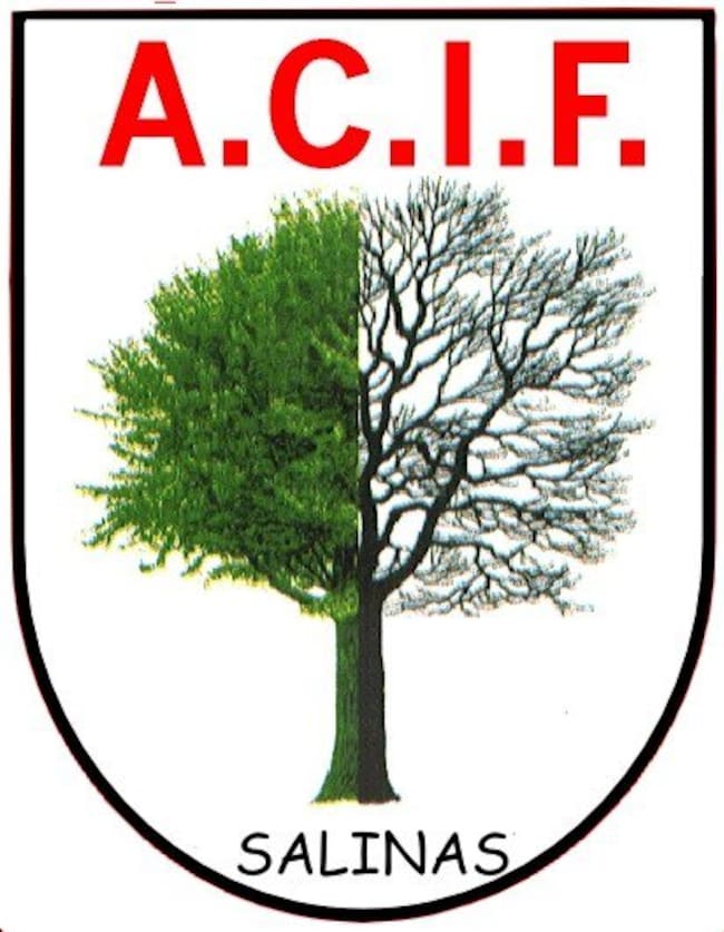 Logo de ACIF SALINAS