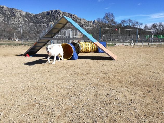 Parque residencia canina Julio Cano.