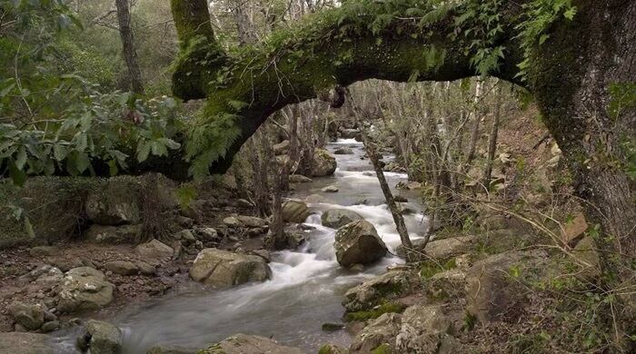 Aguas en la zona