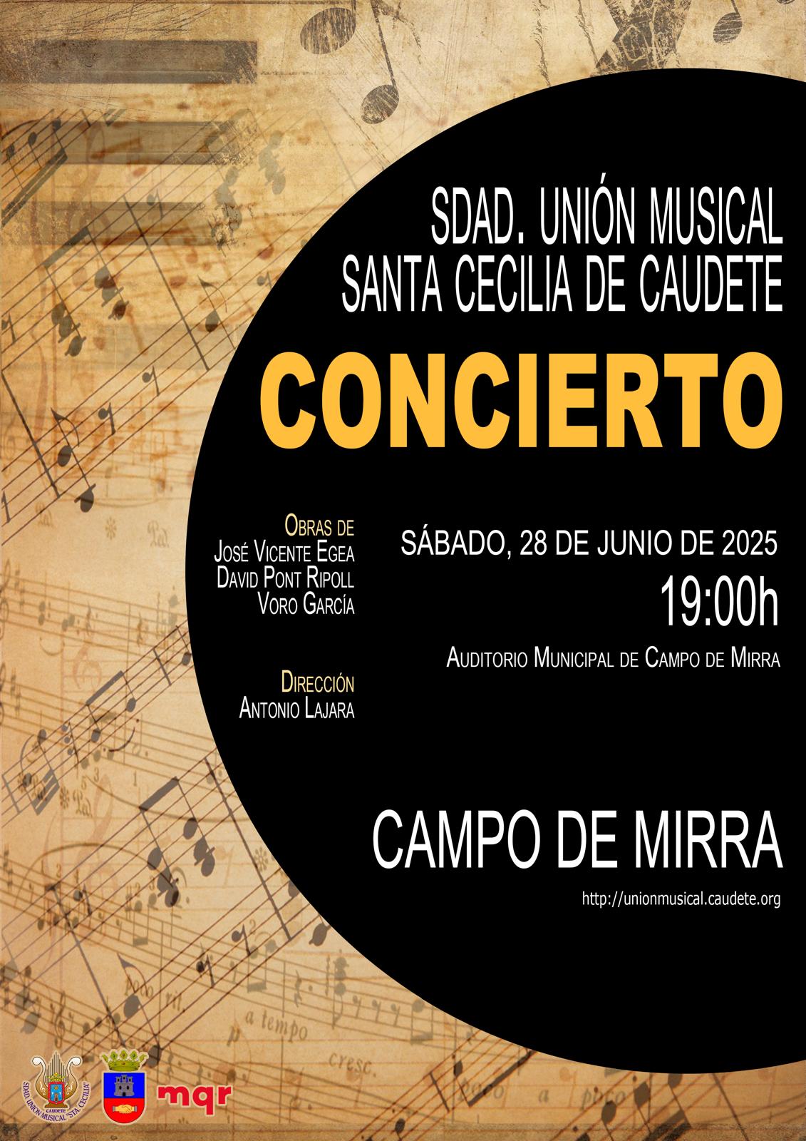 Cartel del concierto