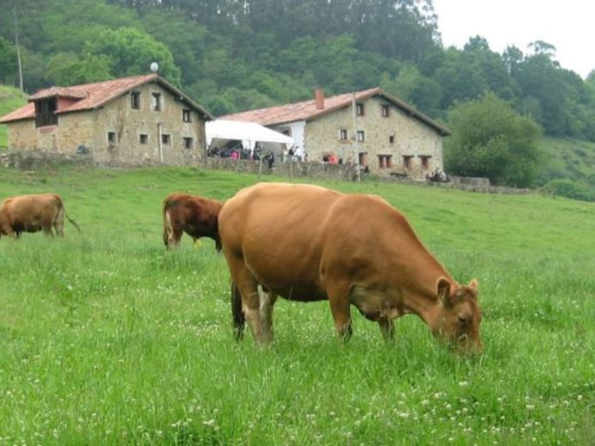 'Carnísima': una alternativa saludable y basada en técnicas tradicionales que busca potenciar el desarrollo rural