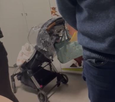 Silleta del niño acogido en la sala en la que se notificó a los padres de acogida que se llevaban al niño.