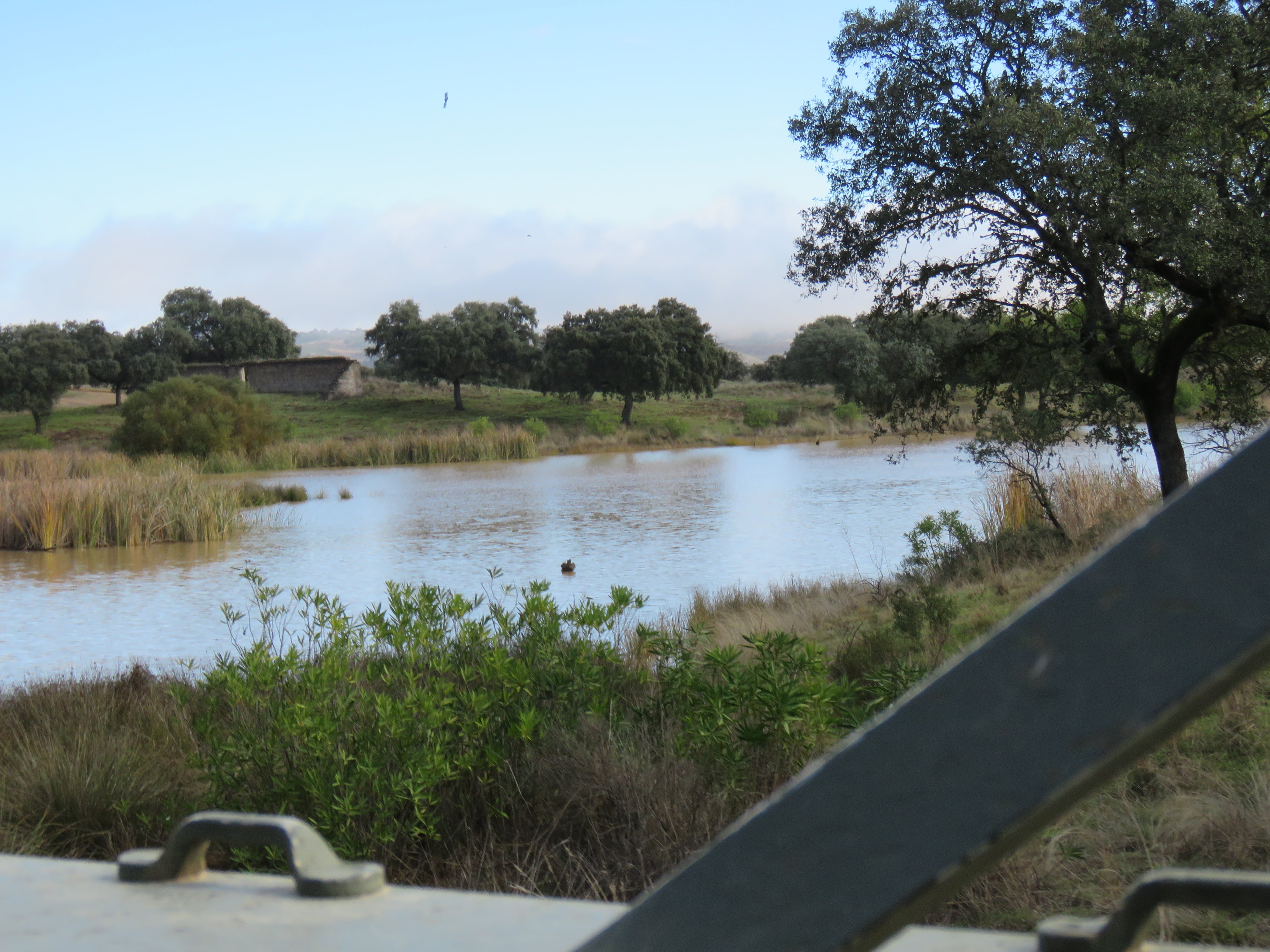 Lago de la Base de Cerro Muriano en Córdoba en el que se realizó el ejercicio en el que murieron ahogados dos militares. (Foto de archivo)