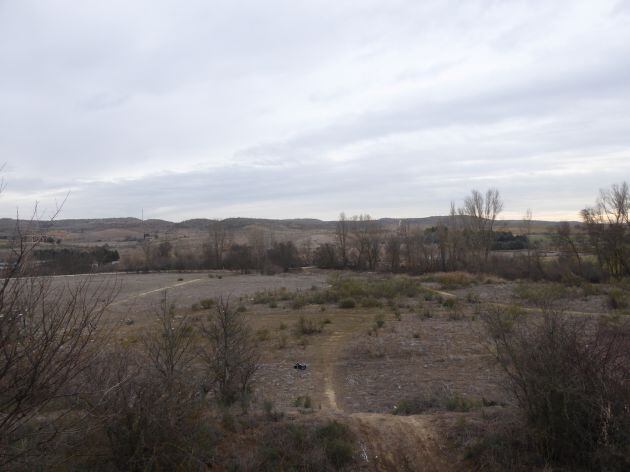 Parcela de la Comunidad de Madrid donde se va a llevar a cabo una plantación de olmos.
