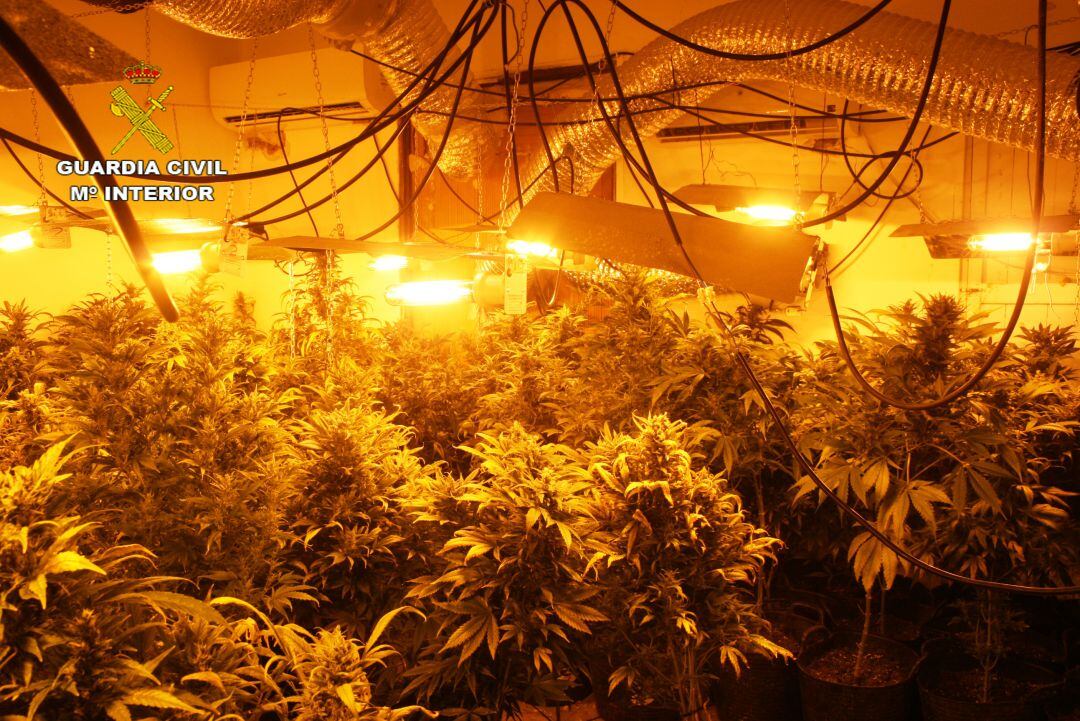 Detenidos en Sant Joan de Moró