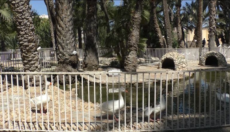 Estanque del Parque Municipal