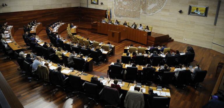 Los diputados en una sesión plenaria