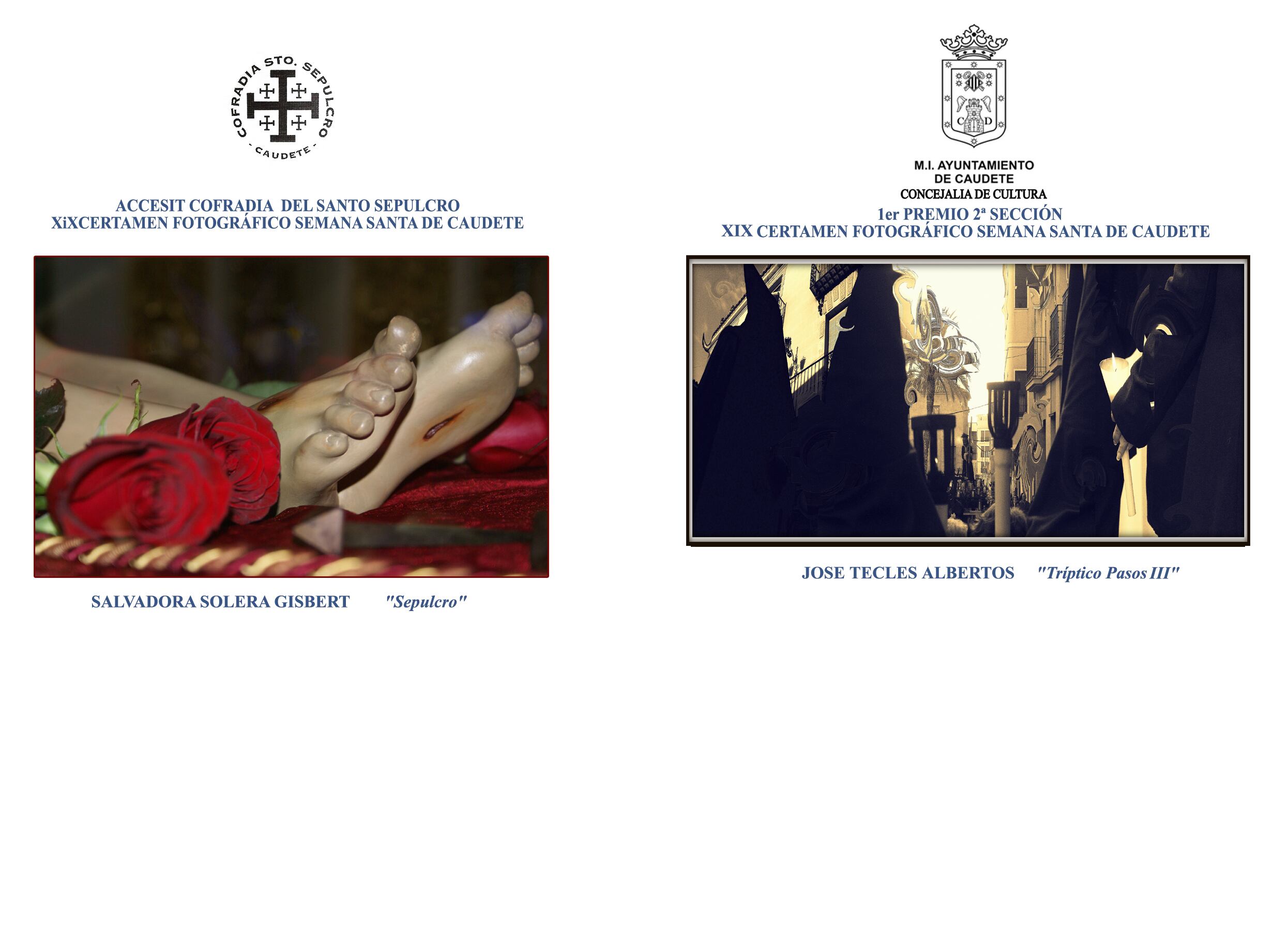 Fotografías ganadoras del concurso