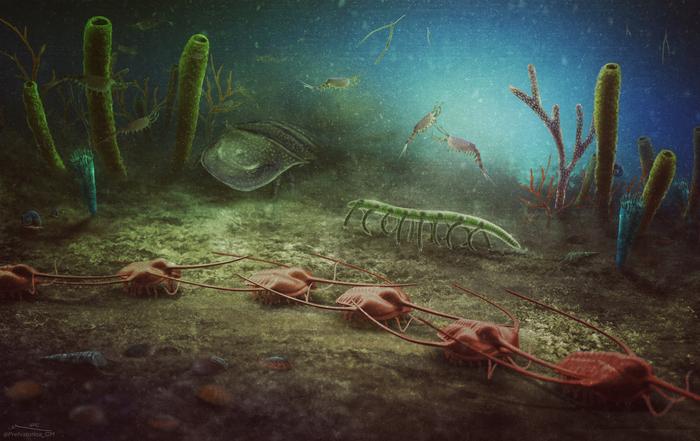 Reconstrucción artística de la Biota de Cabrières