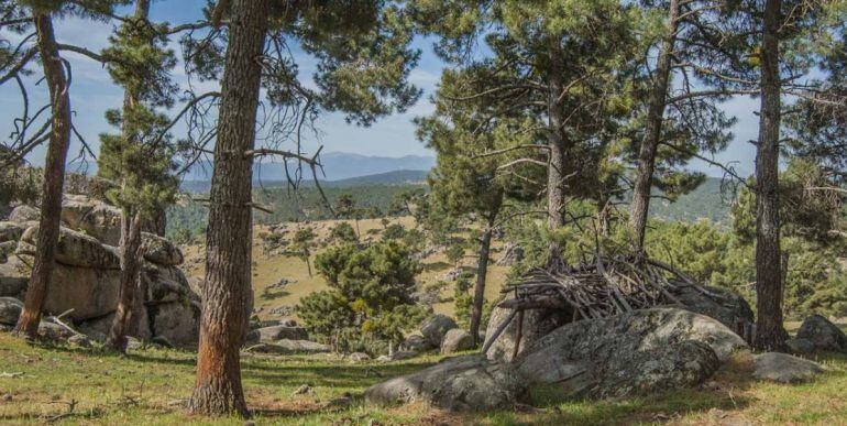 Paisaje de Las Navas del Marqués