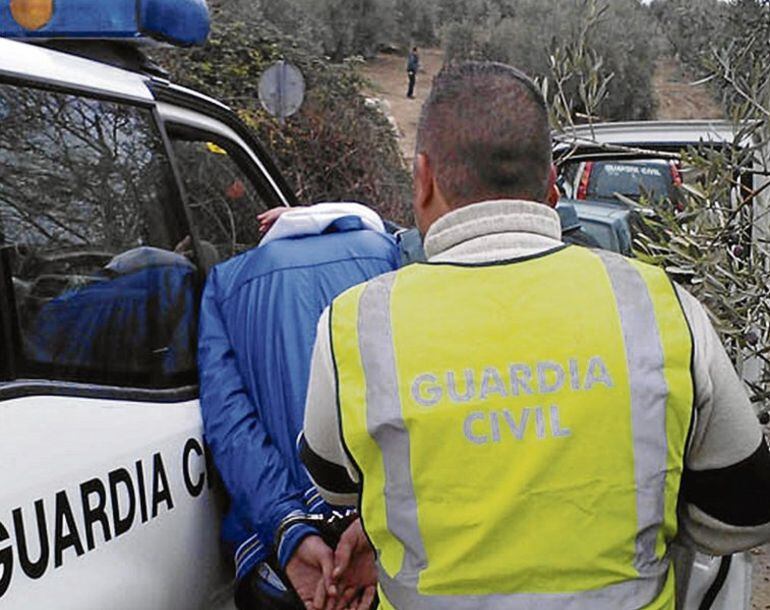 Un detenido por la Guardia Civil por robo en un olivar