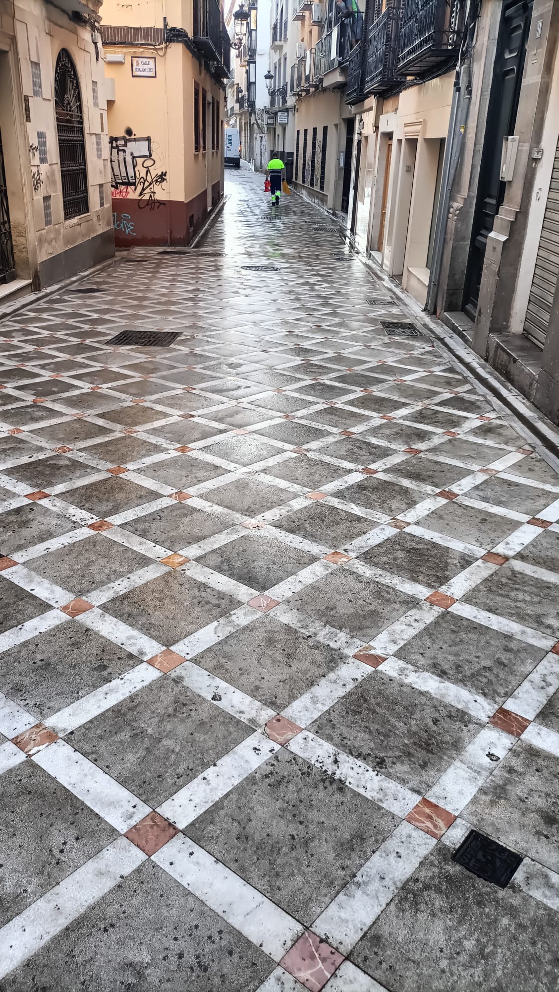 Suciedad en la calle Maestra, en Jaén capital.