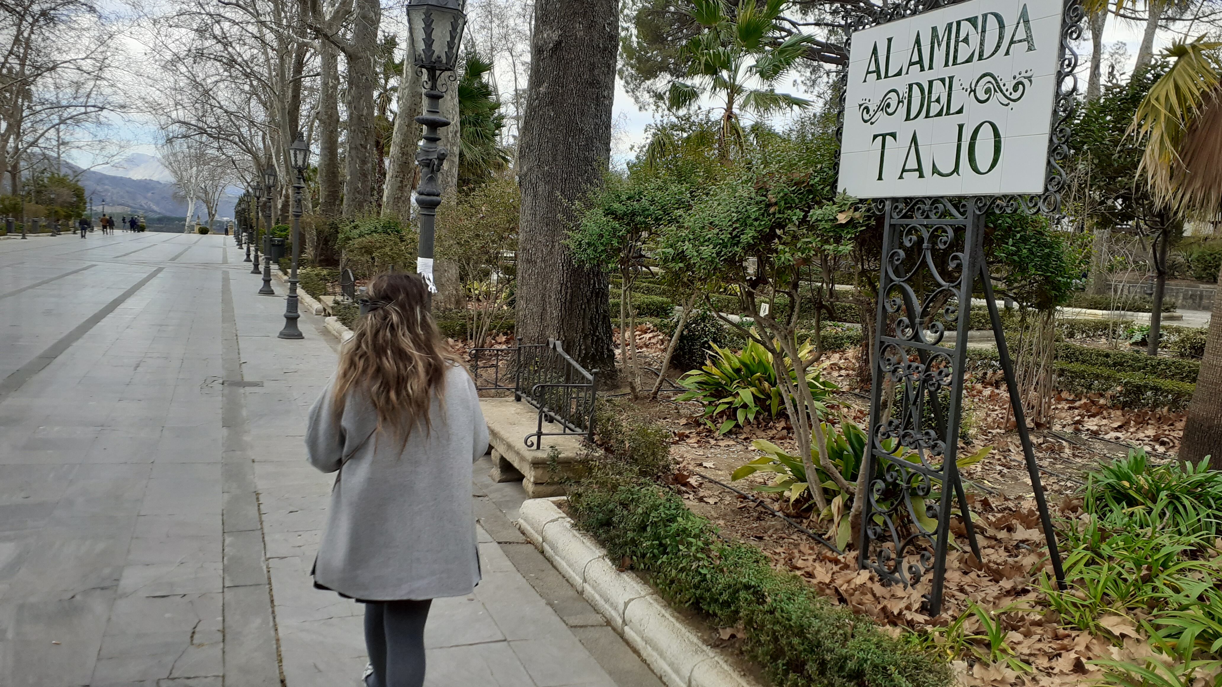 La Alameda del Tajo es uno de los entornos más visitados por turistas y rondeños