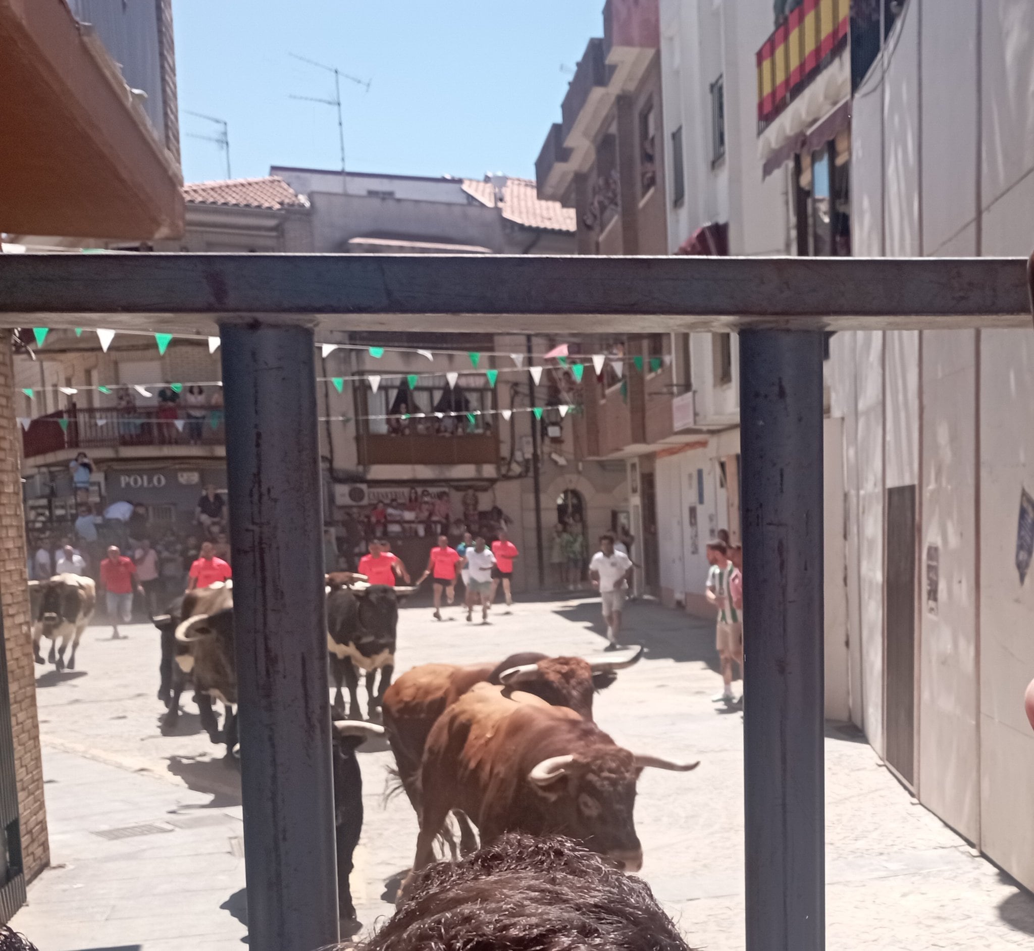 Encierro de Moraleja