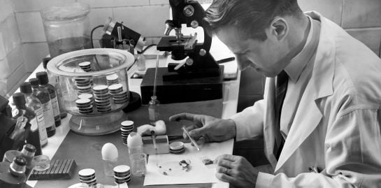 This 1954 photo provided by the National Institute of Allergy and Infectious Diseases shows Willy Burgdorfer inoculating ticks at NIAID&#039;s Rocky Mountain Laboratories in Hamilton, Mont. Burgdorfer, the Swiss-born researcher who gained international recogni