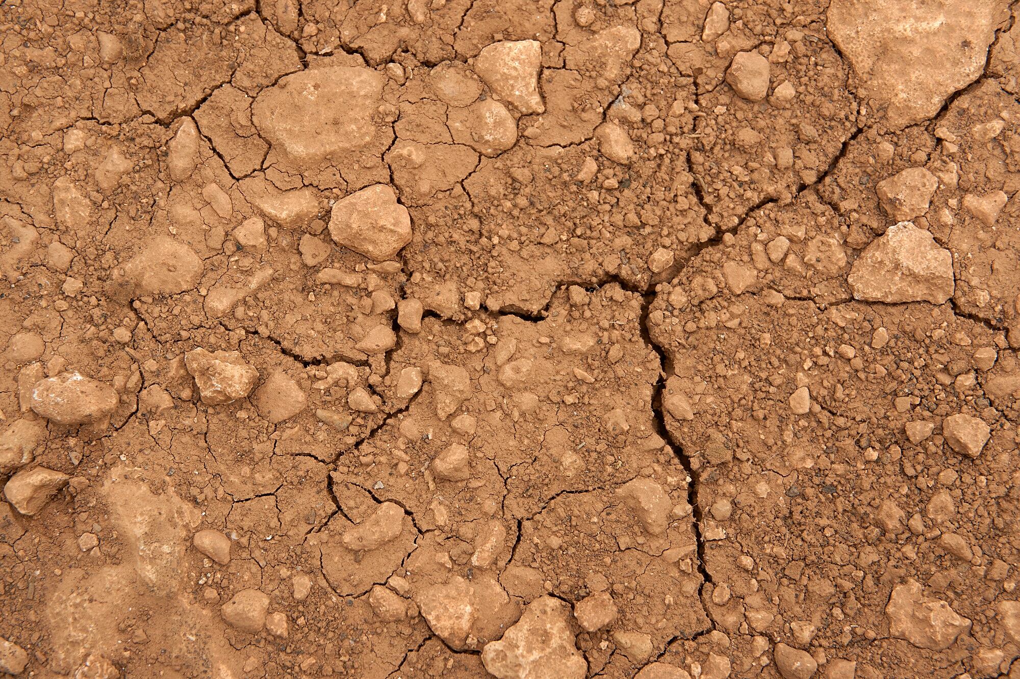 A Menorca només ha plogut una vuitena part del que és normal a l'hivern