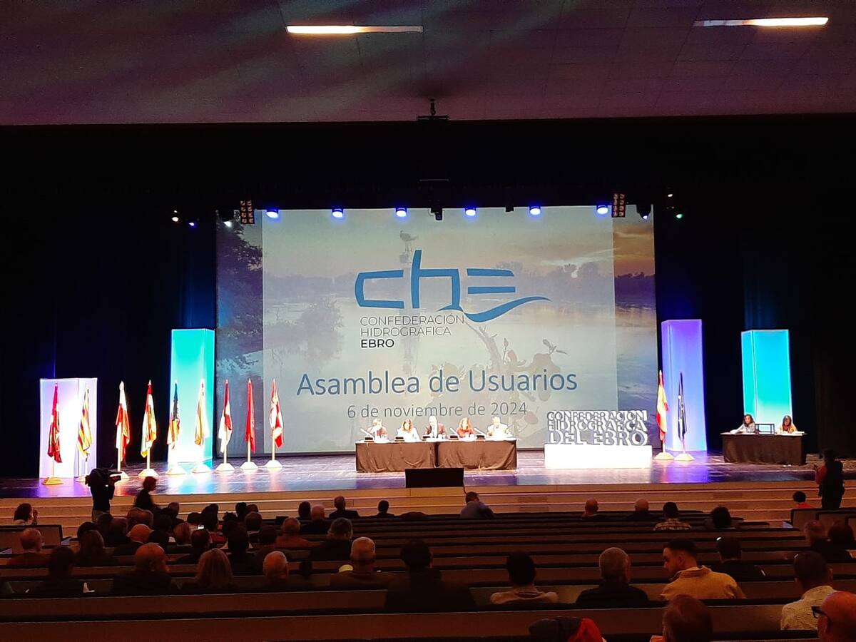 La DANA, "un antes y un después", también en la cuenca del Ebro: mejorar las previsiones hidrológicas y transmitir la información "de la mejor manera posible" - Hora 12 Aragón (06/11/2024)