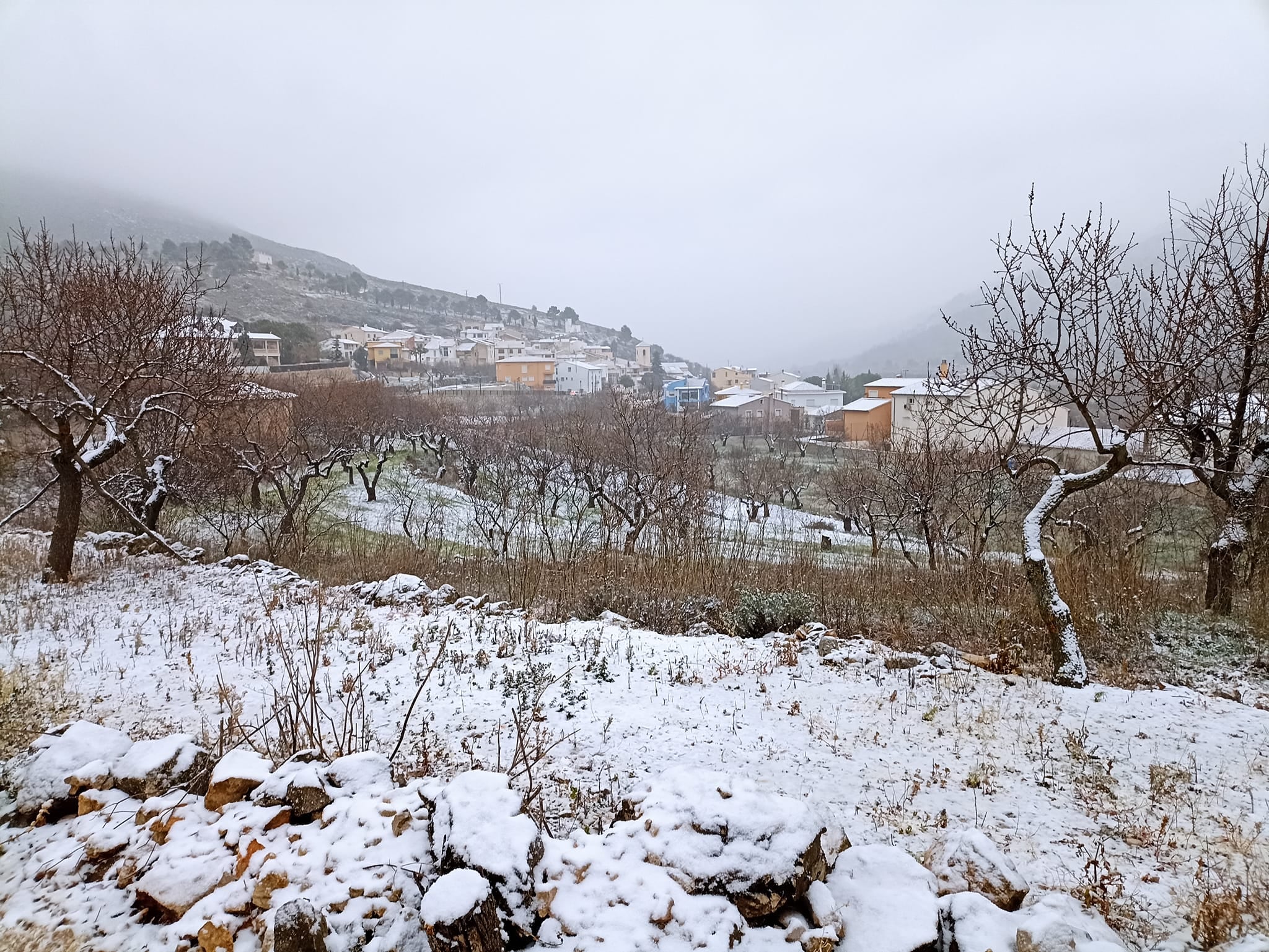 Zona de Fageca, que se quemó este verano, cubierta esta semana por la nieve.