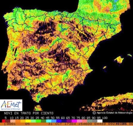 Índice de vegetación a 31 de octubre de 2017.