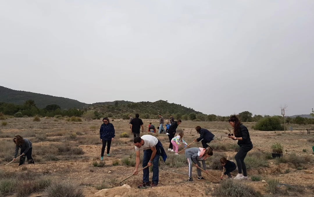 Momento de la plantación