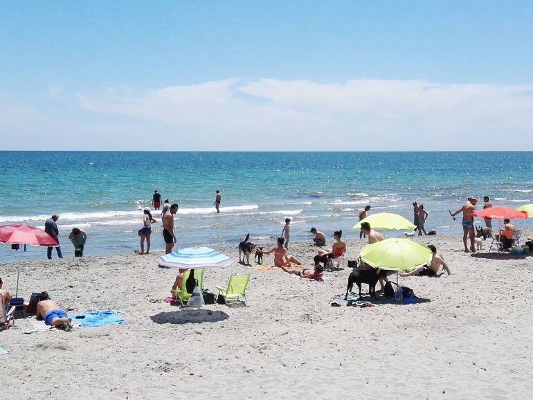 Playa para perros de Santa Pola