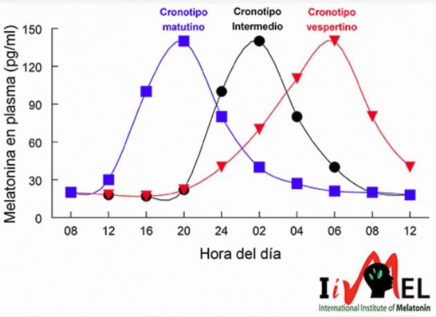 Gráfico que relaciona el nivel de producción de melatonina (hormona que induce al sueño) con el período del día, según cada cronotipo.