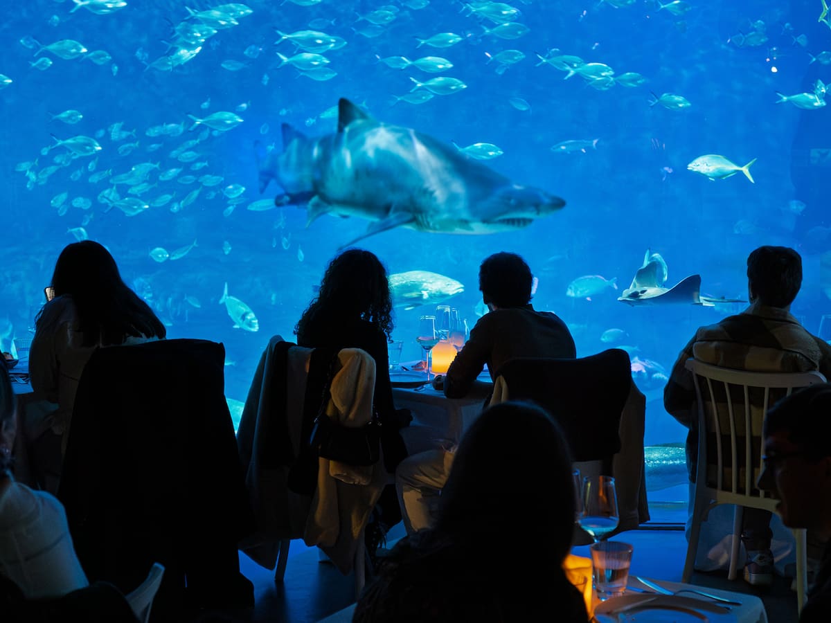San Valentín se vive bajo el mar en el Acuario de Sevilla