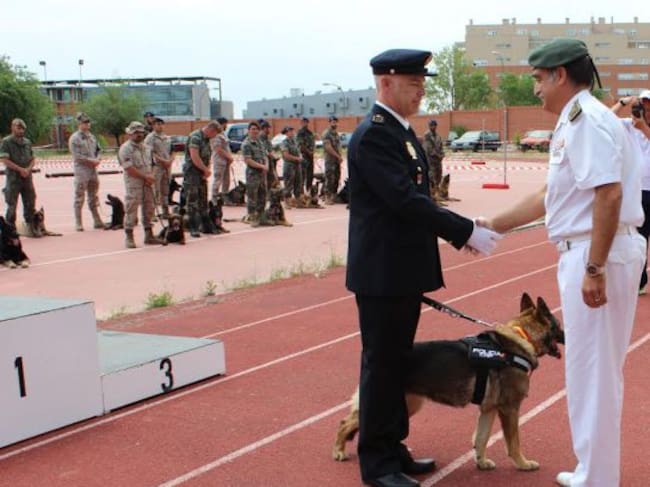 La Policia Nacional entrega el premio a Nena.