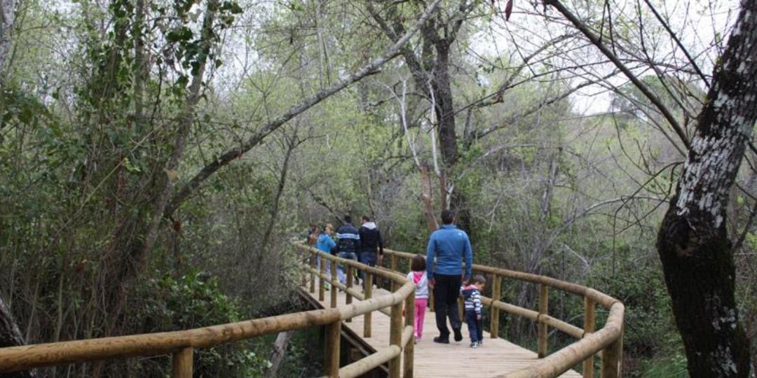 Imagen de archivo de un sendero en Doñana.