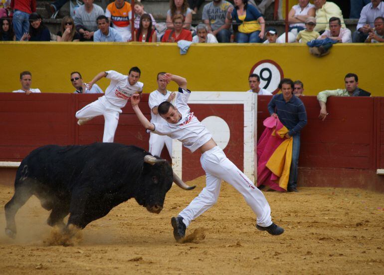 Imagen de archivo de espectáculo de recortes celebrado en la plaza de toros de Ávila