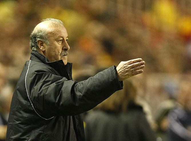 Del Bosque, durante un partido de la Selección