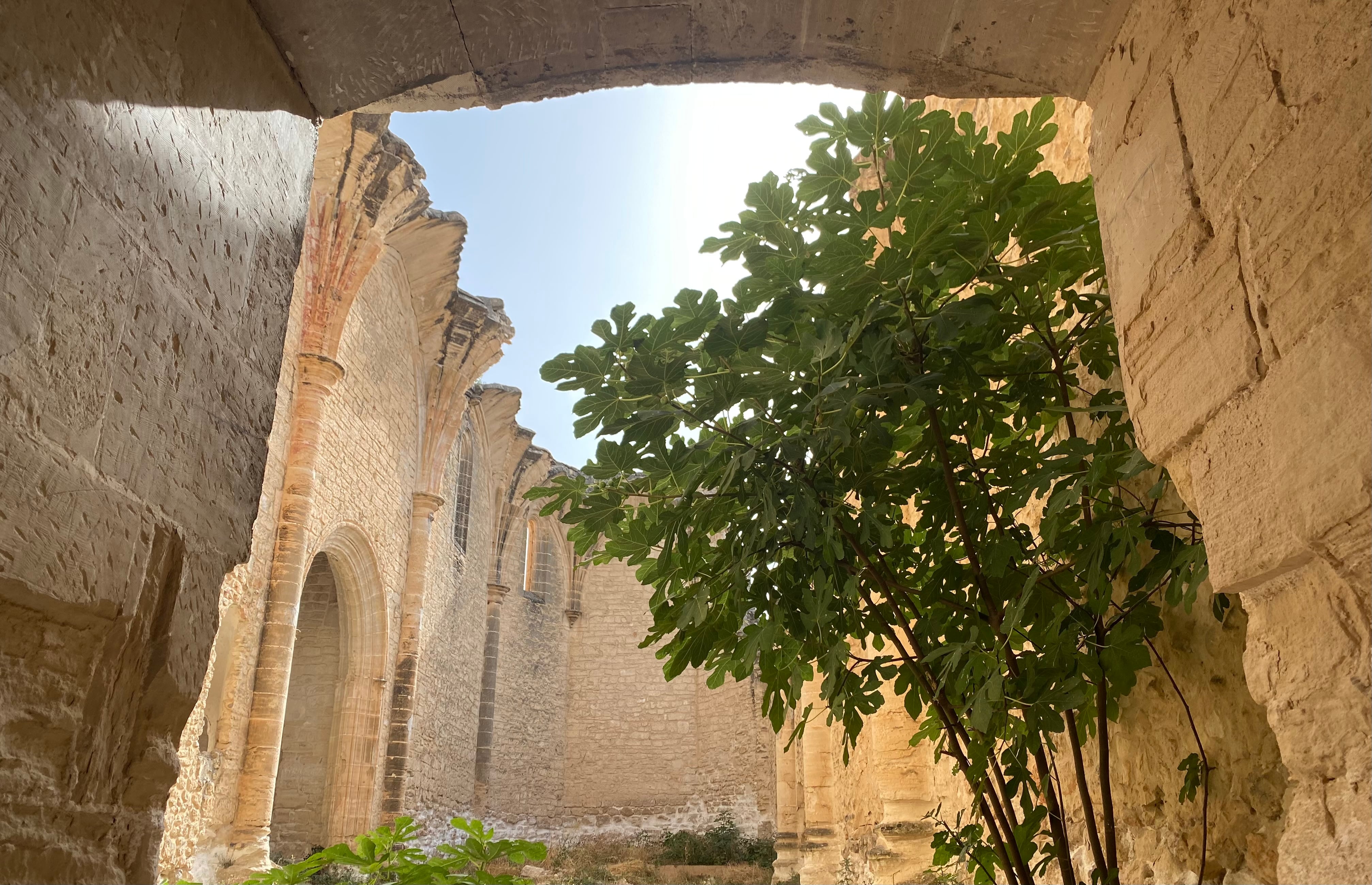 Nave sin techumbre de la iglesia del convento del Rosal de Priego.