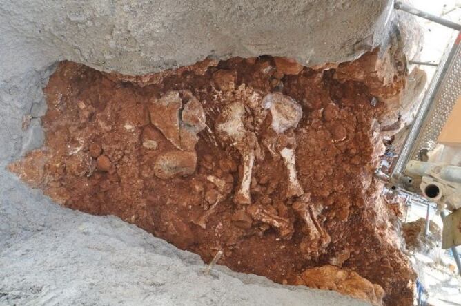 Una imatge de les restes prehistòriques trobades a la Cova del Rinoceront de Castelldefels