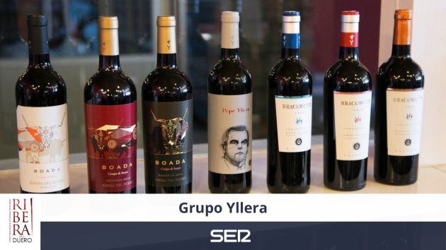 Vinos del Grupo Yllera