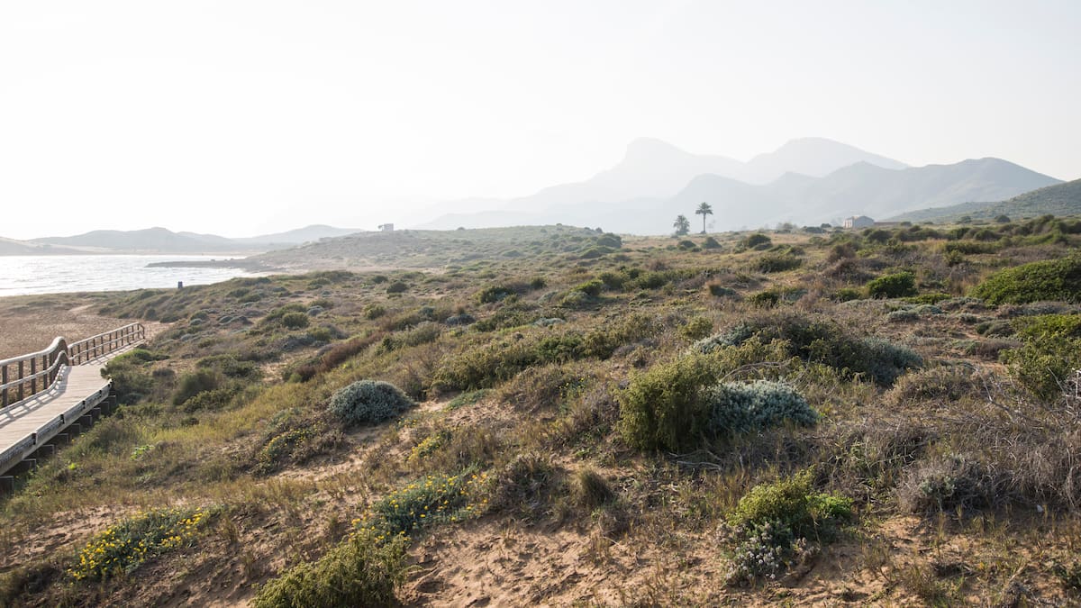 ENTREVISTA I Manuel Páez, jefe de servicio de Defensa del Medio Natural. Director de la extinción del incendio de Cabo Tiñoso