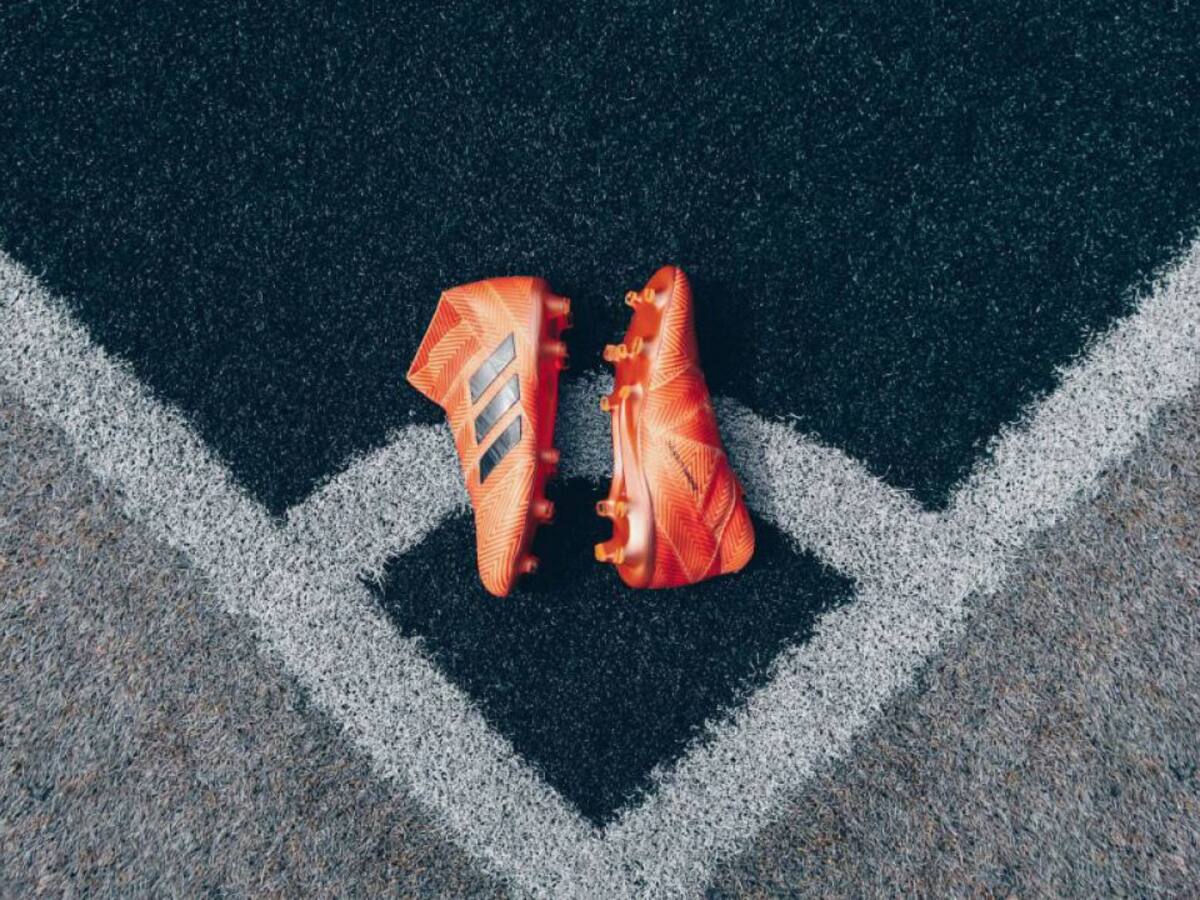 Palos de ciego (17/02/2020)