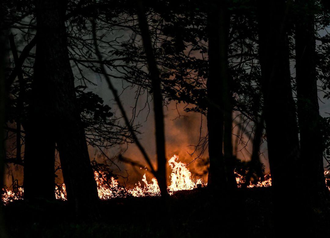 Imagen de un incendio.