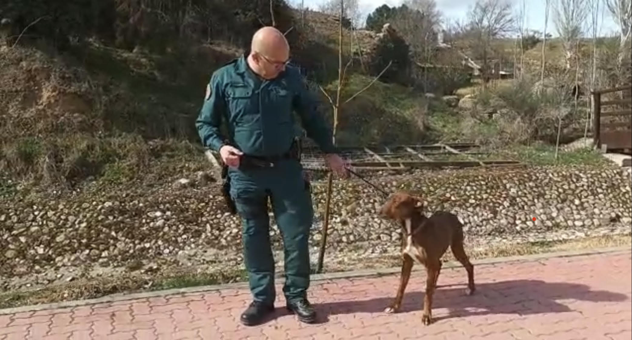 La Guardia Civil identifica al propietario que maltrató y abandonó a un perro en El Vellón