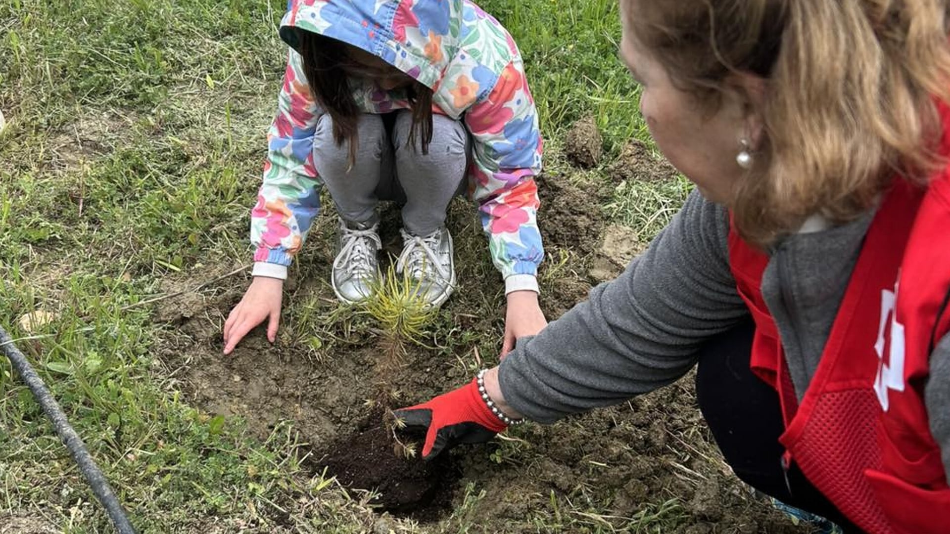 Plantación de árboles por parte de alumnos del colegio López Mayor en Villanueva del Trabuco