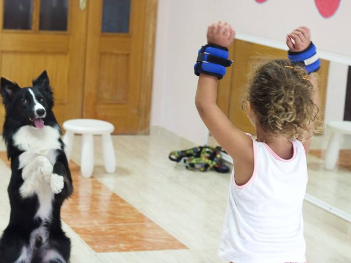 La Escuela Avelino Hernández completa las plazas de su monográfico de Terapia Asistida con Animales