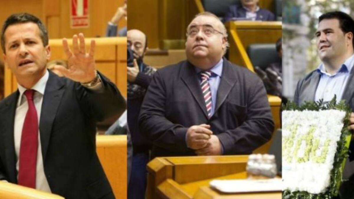 Bildarratz (PNV), Rodríguez (PSE) e Iñarritu (EH Bildu) serán los senadores autonómicos