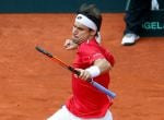 David Ferrer celebra el punto definitivo de España en la Copa Davis.